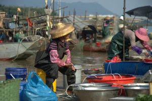 Exploring the Impact of Globalization on Local Job Markets