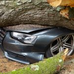 The Unexpected Joy of Driving a Manual Transmission Vehicle