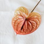 Simple Steps to Maintaining the Shape of Your Knitwear